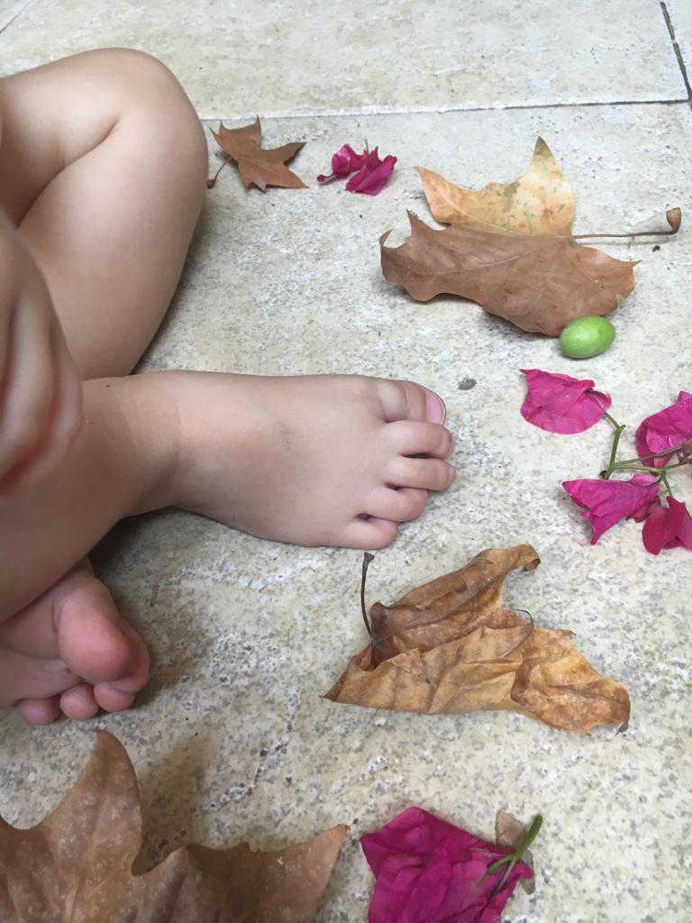 Ritual de otoño: juntar hojitas y ramas secas